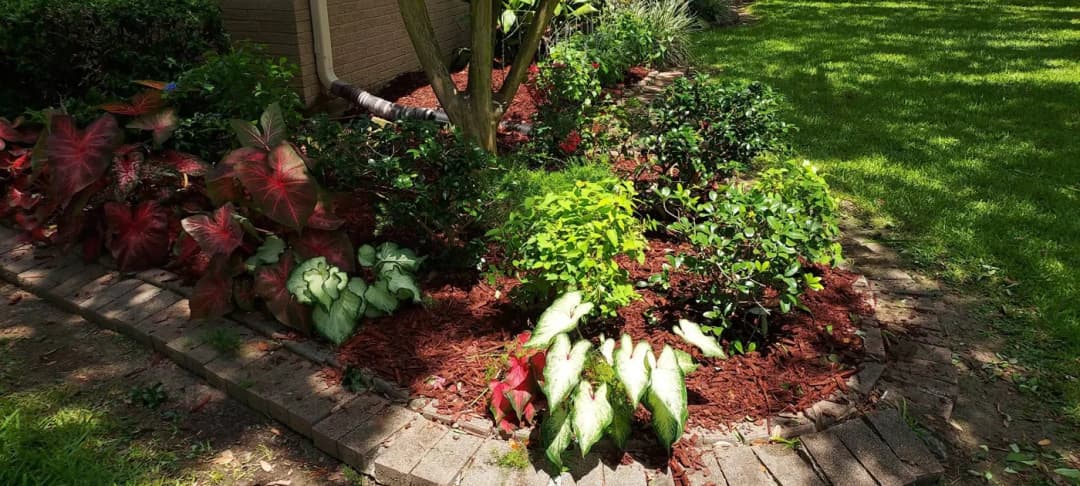 Yard maintained by Bry-Sha's Landscaping in Crowley, LA
